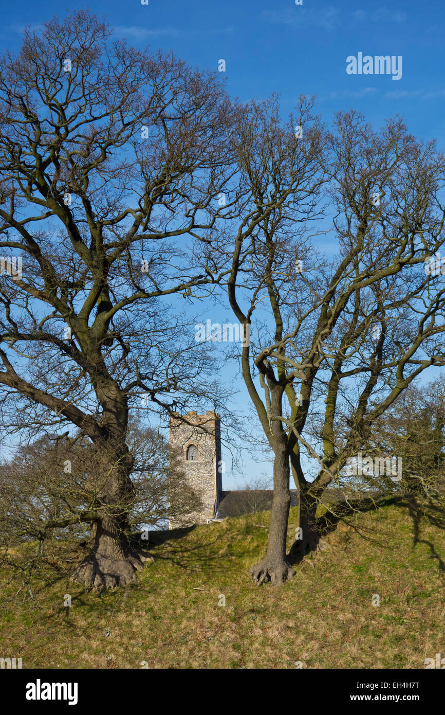 Caistor St Edmund roman town Venta Icenorum Stock Photo Alamy