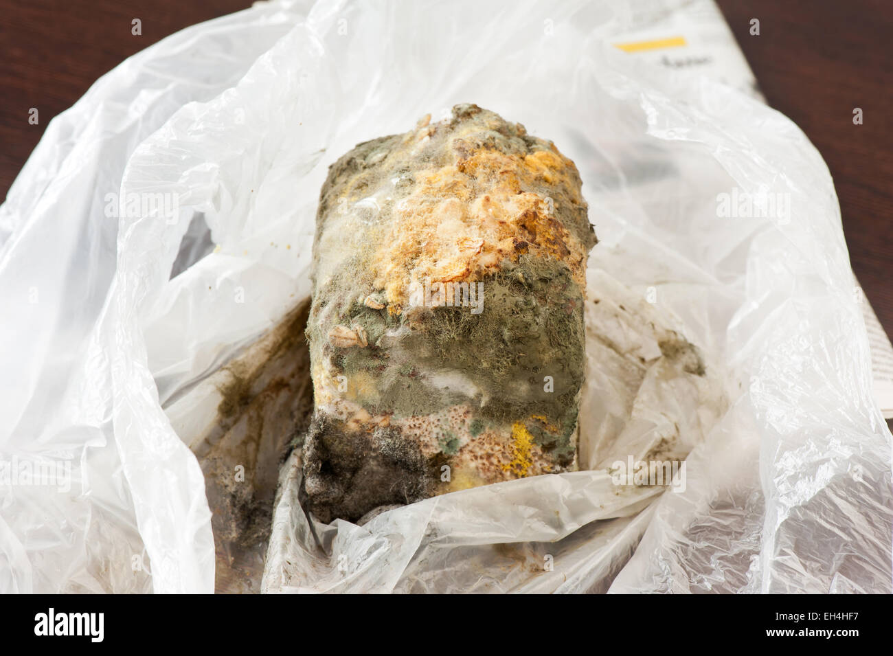 Mold on bread in plastic bag waste Stock Photo
