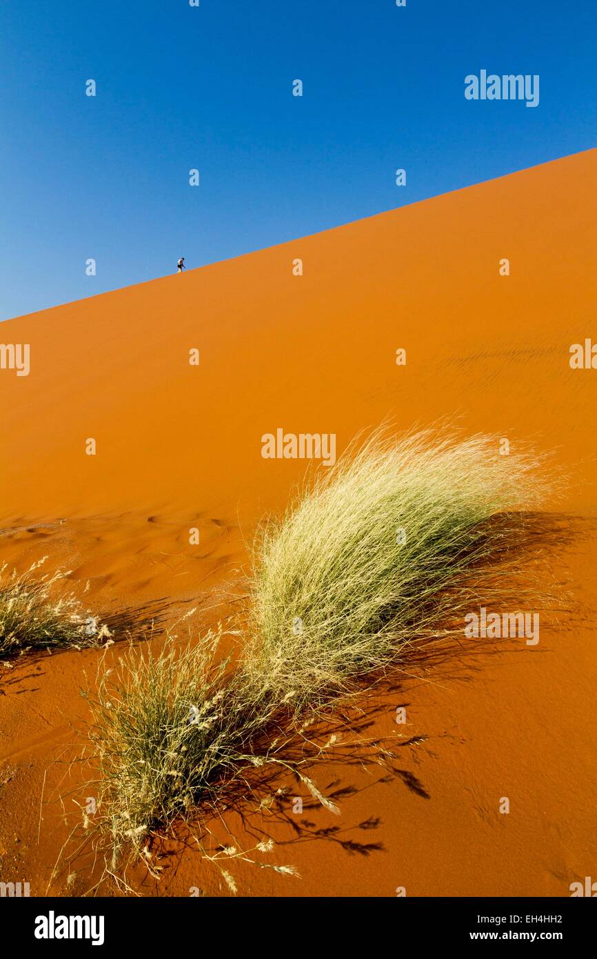 Namibia, Hardap region, Namib desert, Namib Naukluft national park ...