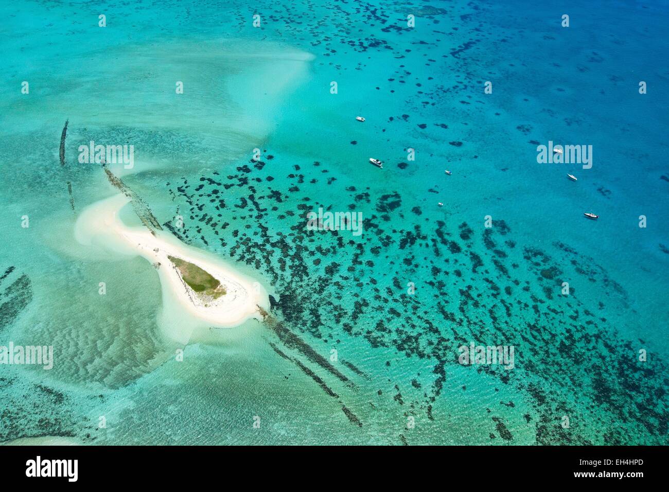 France, New Caledonia, Southern Province, off Noumea Goelands Island