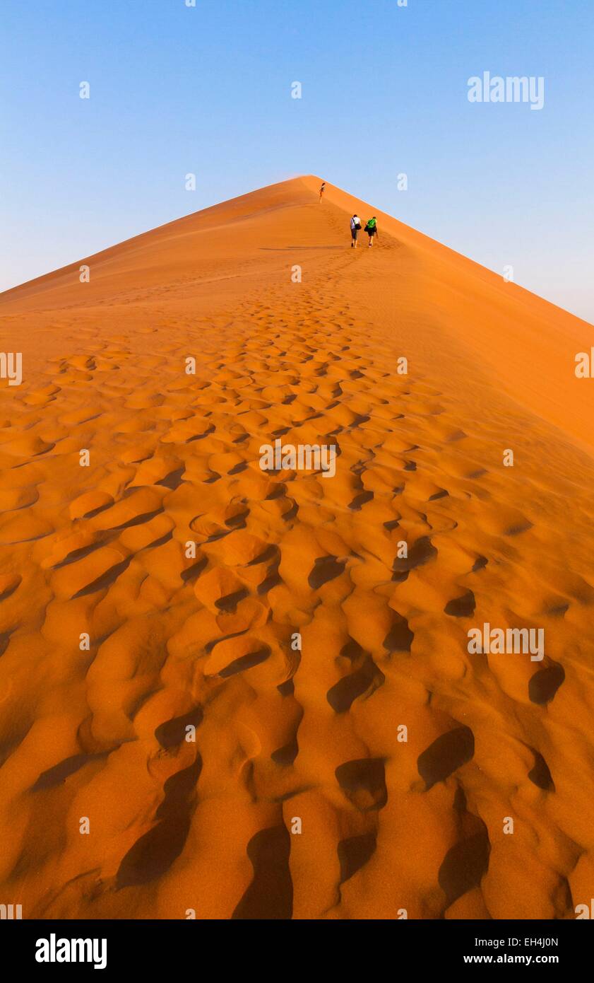 Namibia, Hardap region, Namib desert, Namib Naukluft national park ...