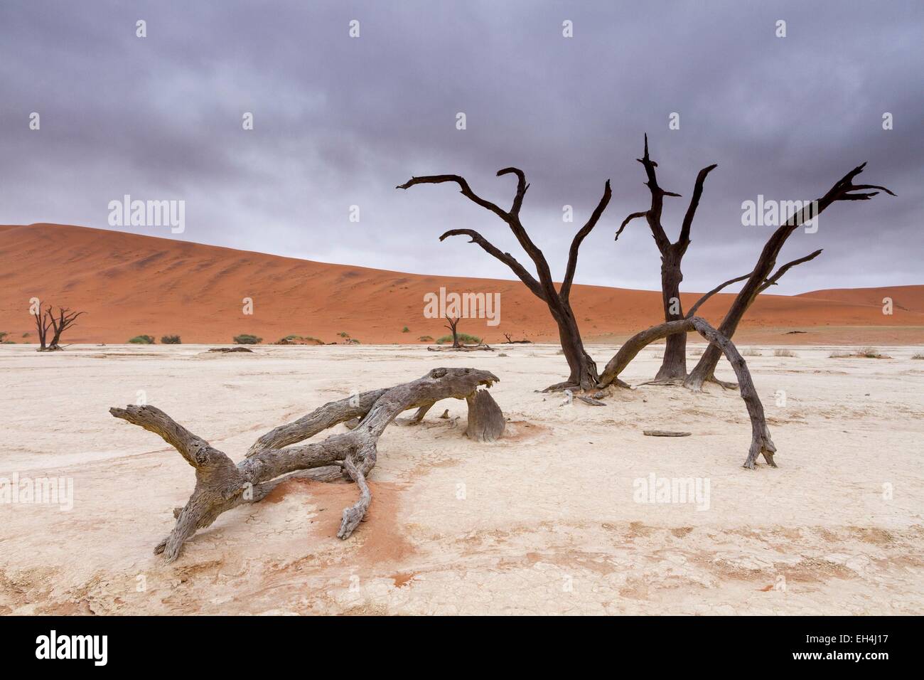 Namibia, Hardap region, Namib desert, Namib Naukluft national park ...
