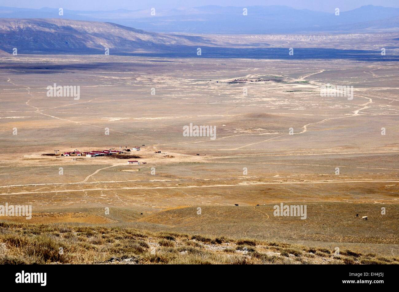 Azerbaijan, Qobustan, farm on arid plains Stock Photo