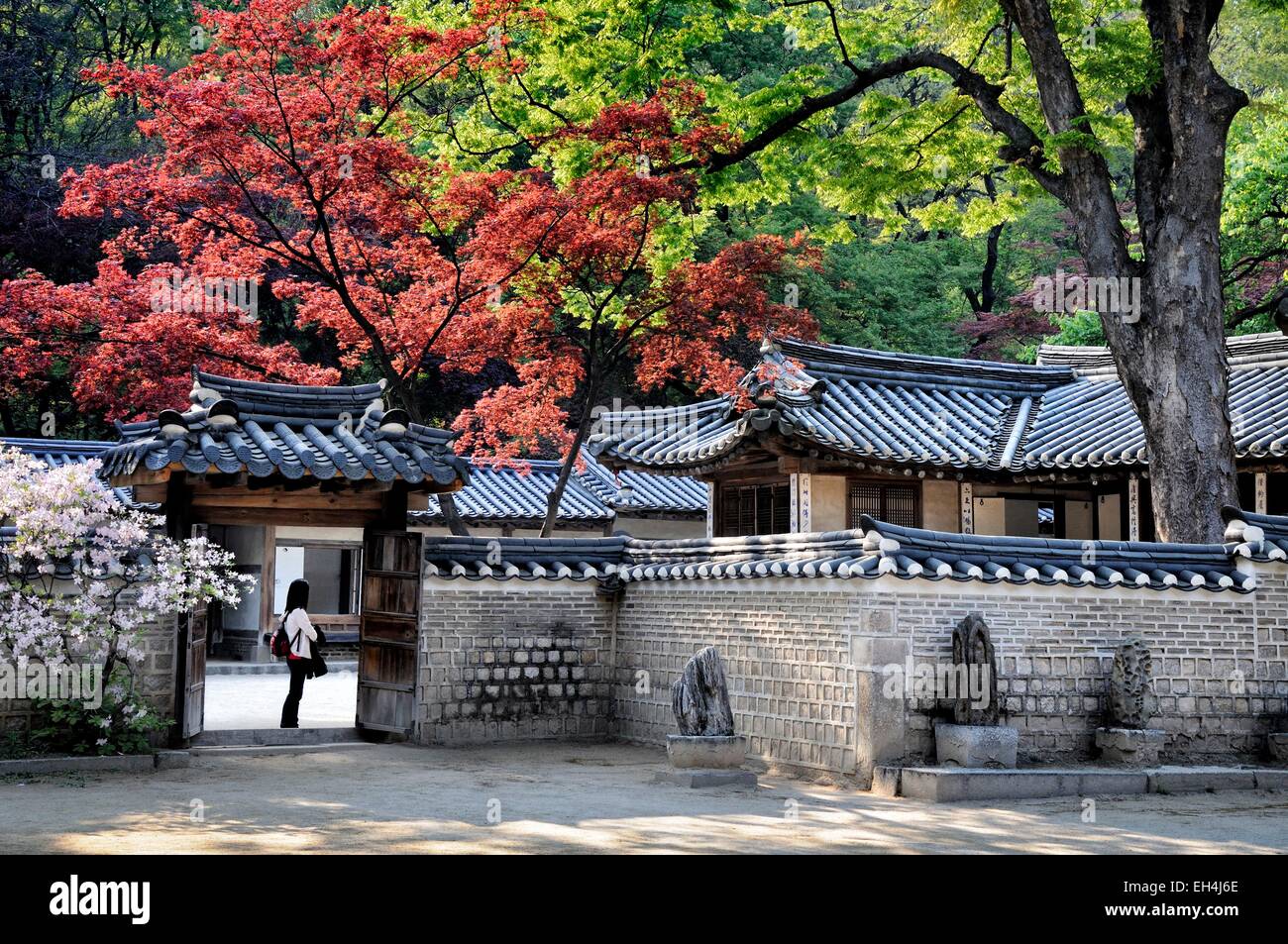 South Korea, Seoul, harmony between nature and traditional architecture in the Secret Garden (Biwon) of Changdeokgung Palace (Prospering Virtue Palace) listed as World Heritage by UNESCO Stock Photo