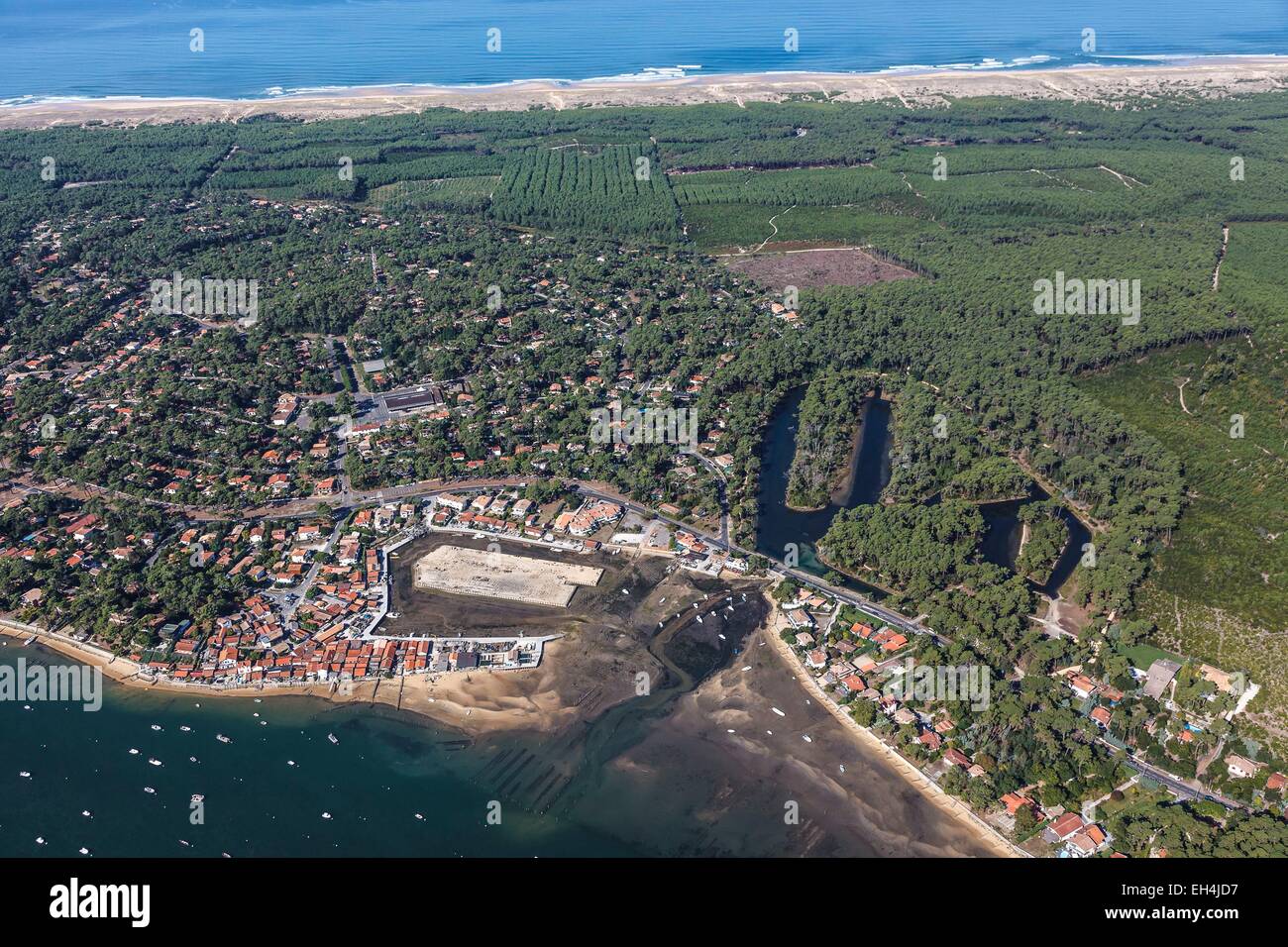 France, Gironde, Lege Cap Ferret, Piraillan, the seaside resort on the Bassin d'Arcachon and the pine forest (aerial view) Stock Photo