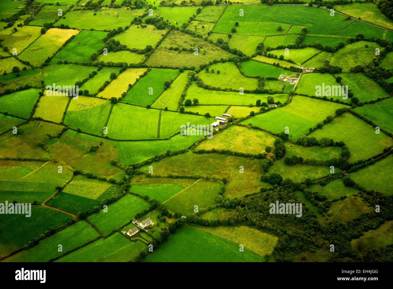 Green pastures as seen from the air. Ireland Stock Photo