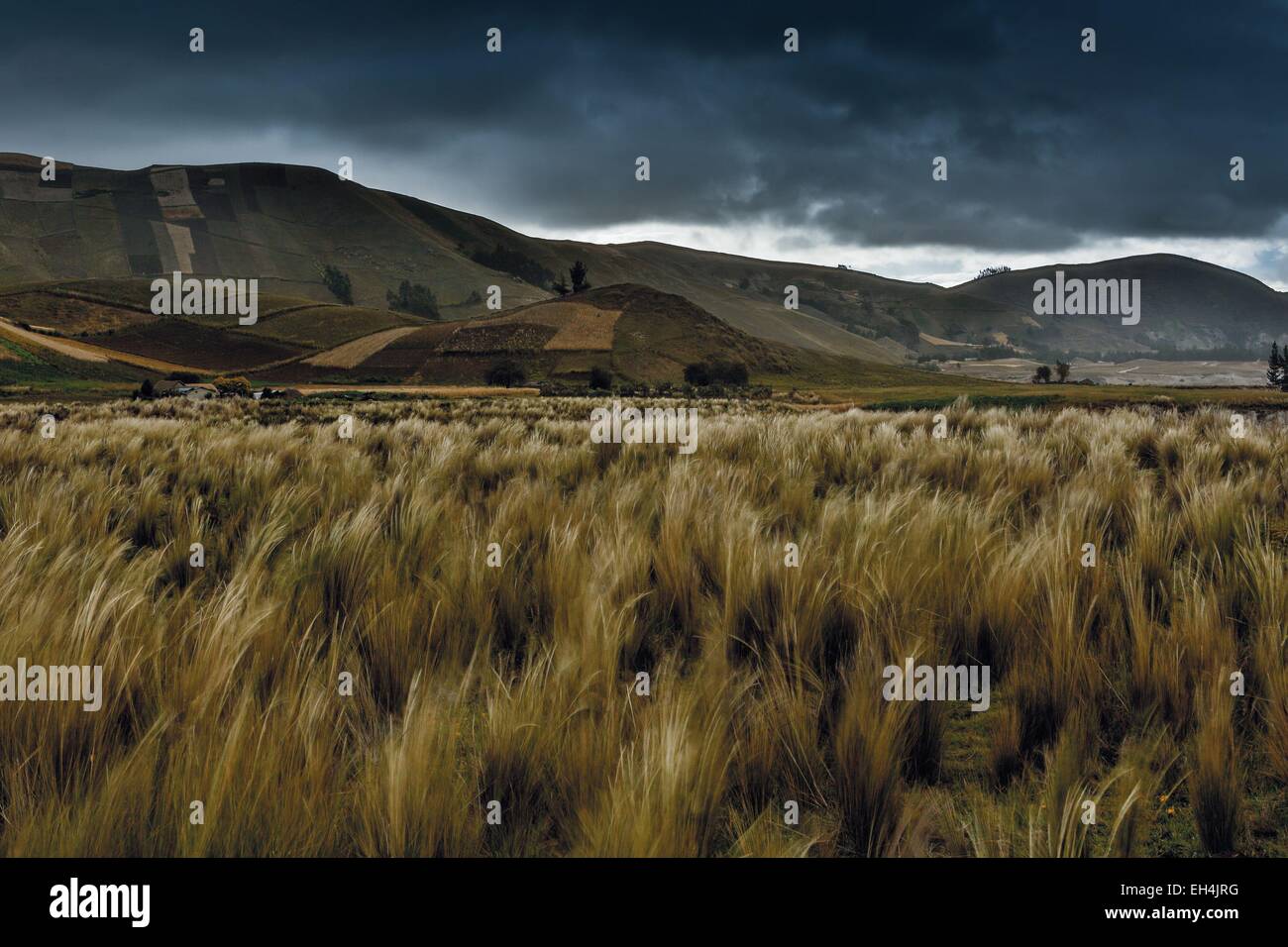 Ecuador, Cotopaxi, Tigua, Andean landscape of a plain in a mountainous setting under a stormy sky at sunset Stock Photo