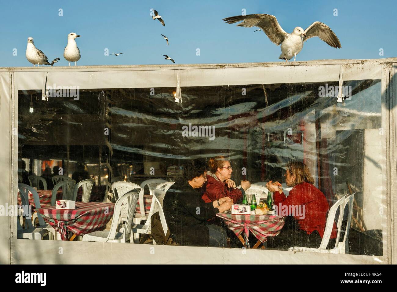 Turkey, Istanbul, Karakoy district, clients in a covered restaurant on the Bosphorus near the Galata Bridge Stock Photo