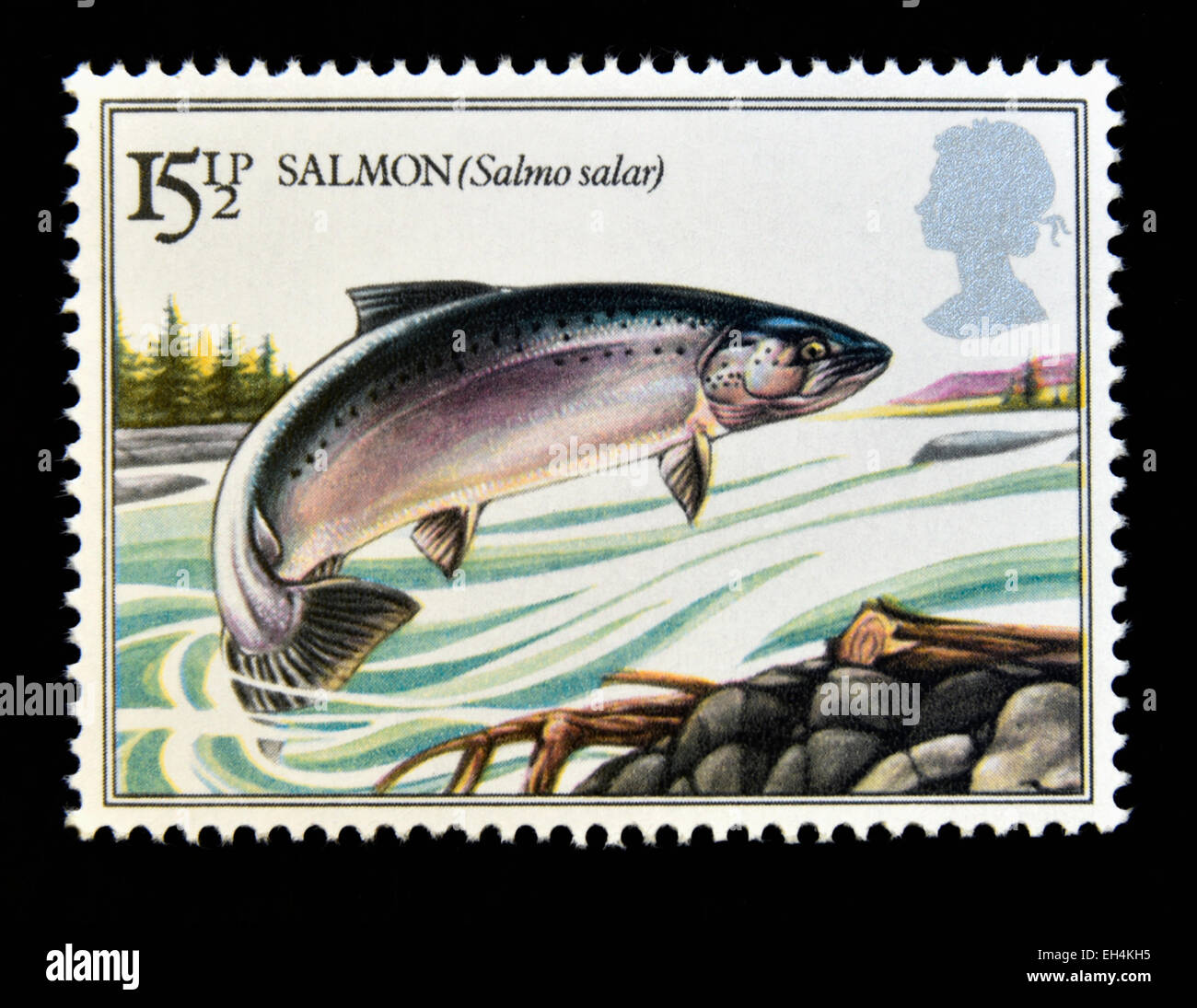 Postage stamp. Great Britain. Queen Elizabeth II. 1983. British River Fishes. Salmon (Salmo salar). Stock Photo