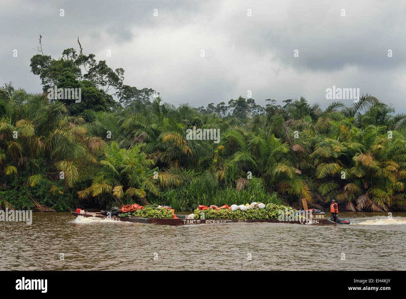 Gabon, Ogooue-Maritime Province, motor boat with its load of bananas going up a river of the Fernan Vaz (Nkomi) lagoon Stock Photo