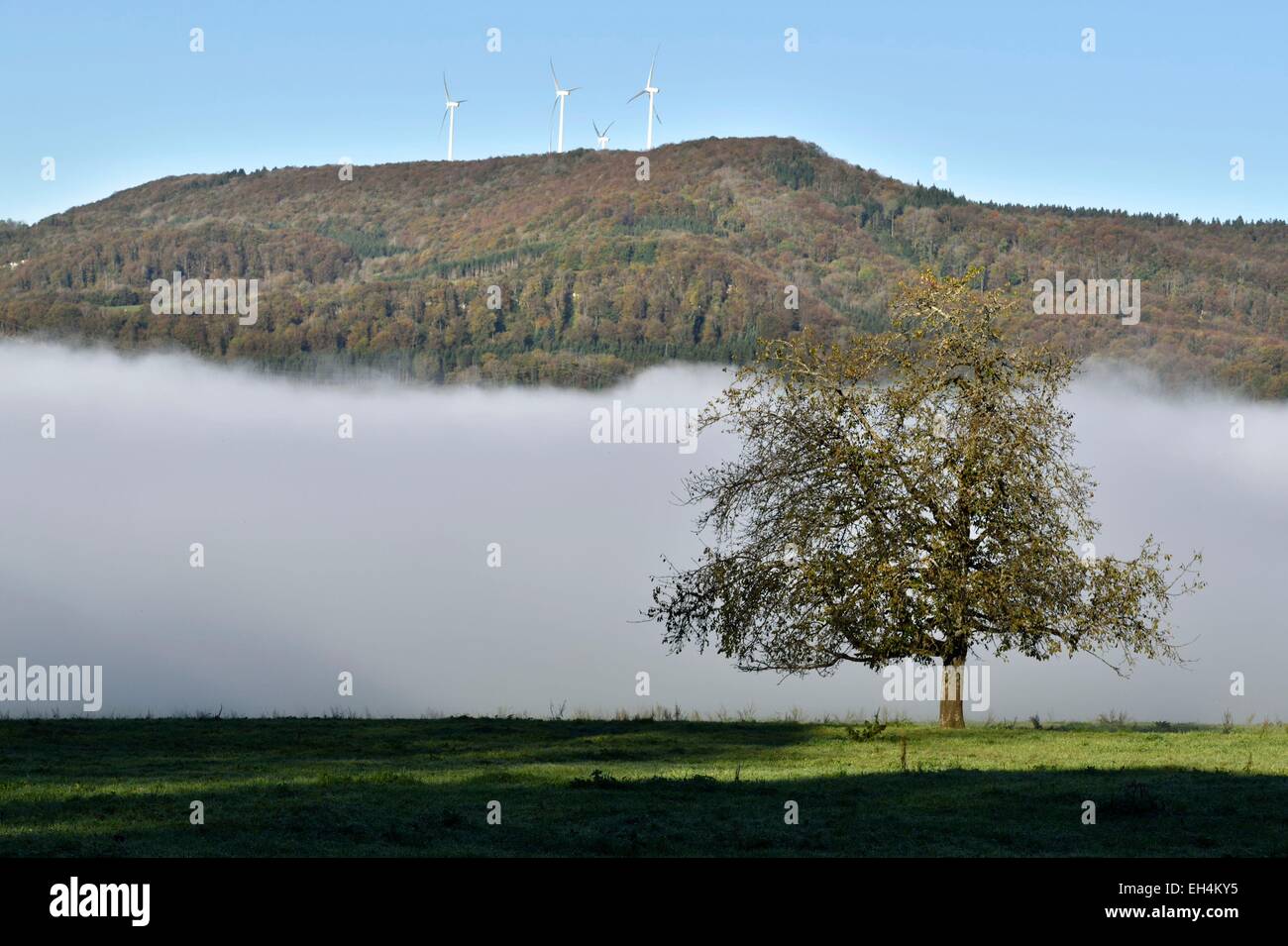 France, Doubs, Saint Hipolytte, wind turbines overlooking the Doubs valley drowned in the mist Stock Photo