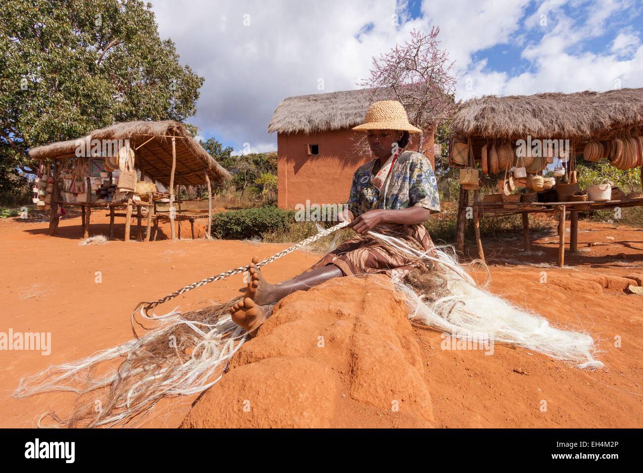 Madagascar, Haute Matsiatra region, work of sisal by the side of the ...