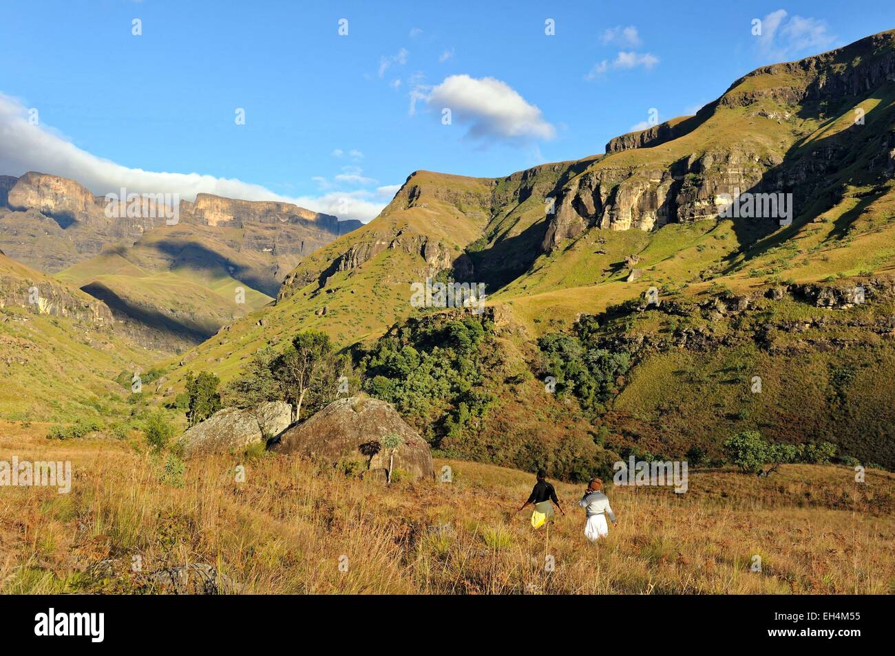 South Africa, Kwazulu Natal, Drakensberg mountains, uKhahlamba Park, listed as World Heritage by UNESCO, Cathedral Peak Valley Stock Photo