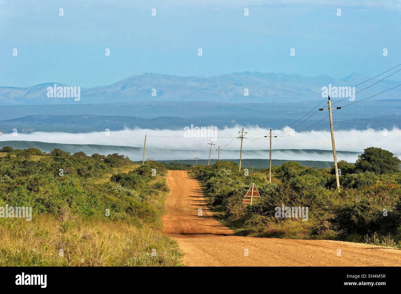 South Africa, Eastern Cape, Addo Elephant National Park Stock Photo Alamy