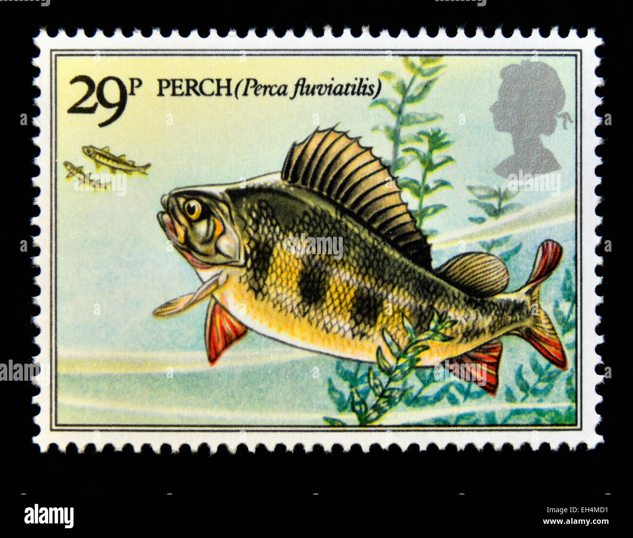 Postage stamp. Great Britain. Queen Elizabeth II. 1983. British River Fishes.Perch (Perca fluviatilis). 29p. Stock Photo