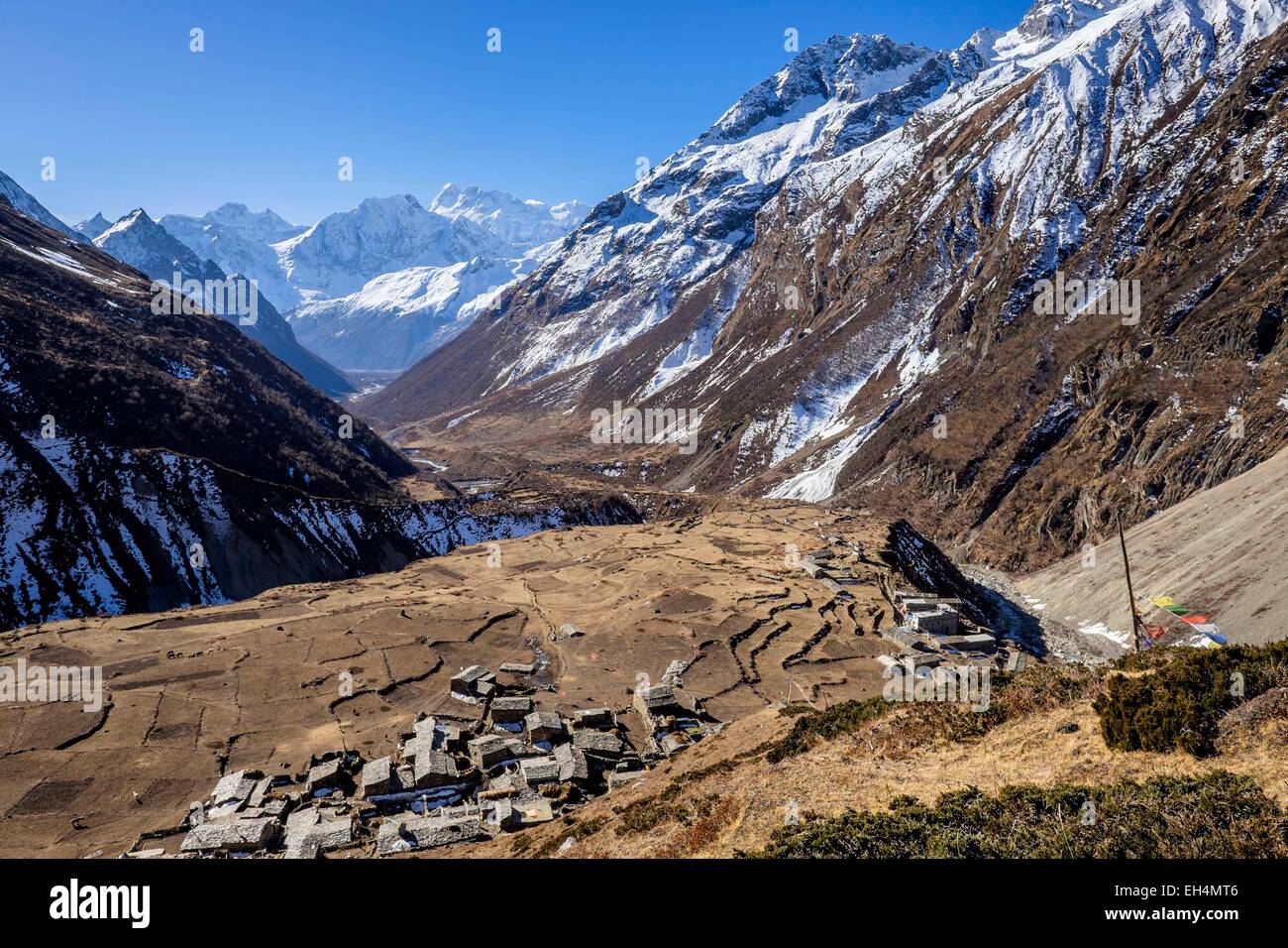 Nepal, Gandaki zone, Manaslu Circuit, between Samagaon and Samdo, Samdo (alt.3875m) Stock Photo