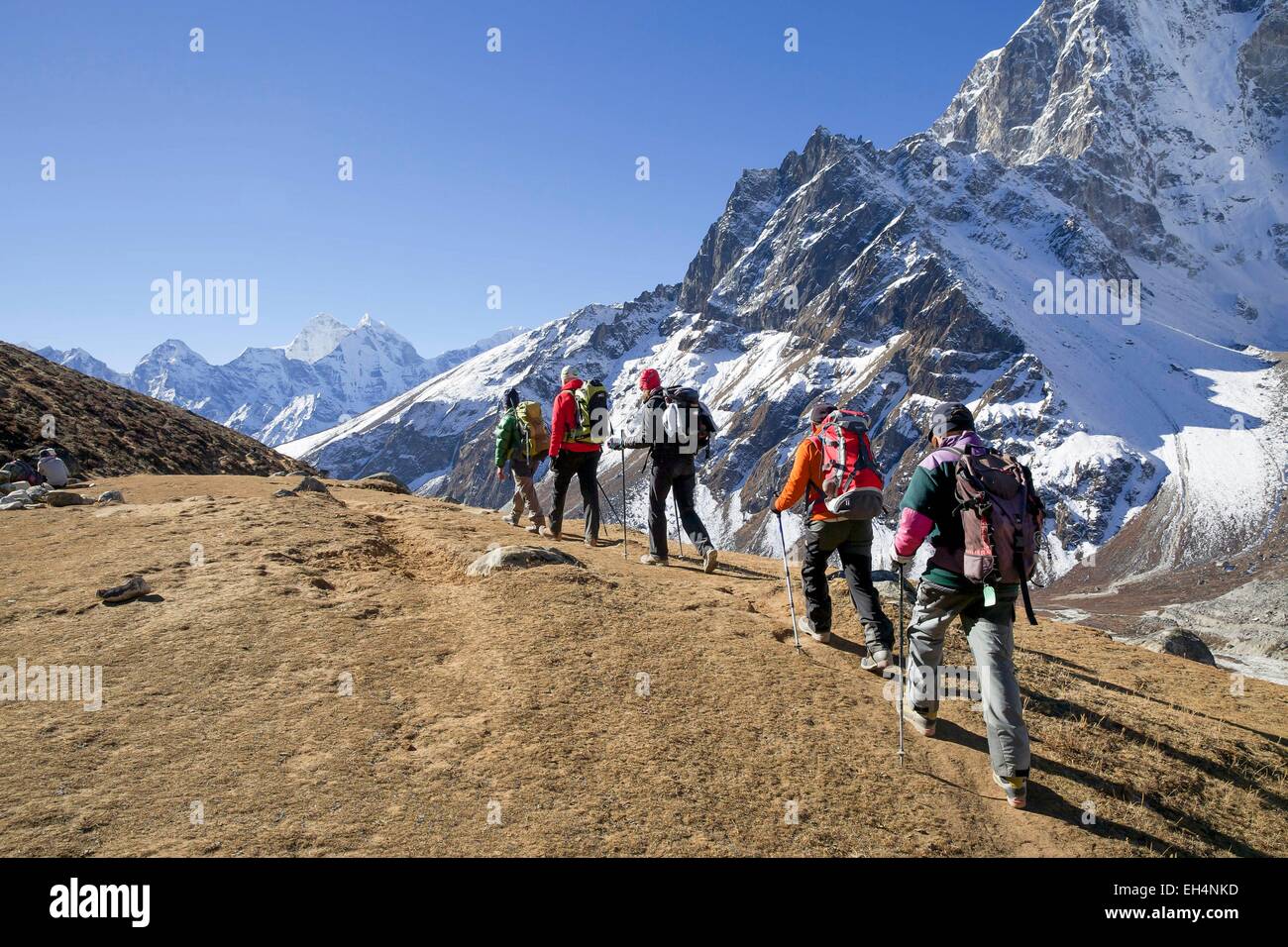 Nepal, Sagarmatha National Park, listed as World Heritage by UNESCO, Solu Khumbu District, hikers on the way to Everest Base Camp Stock Photo