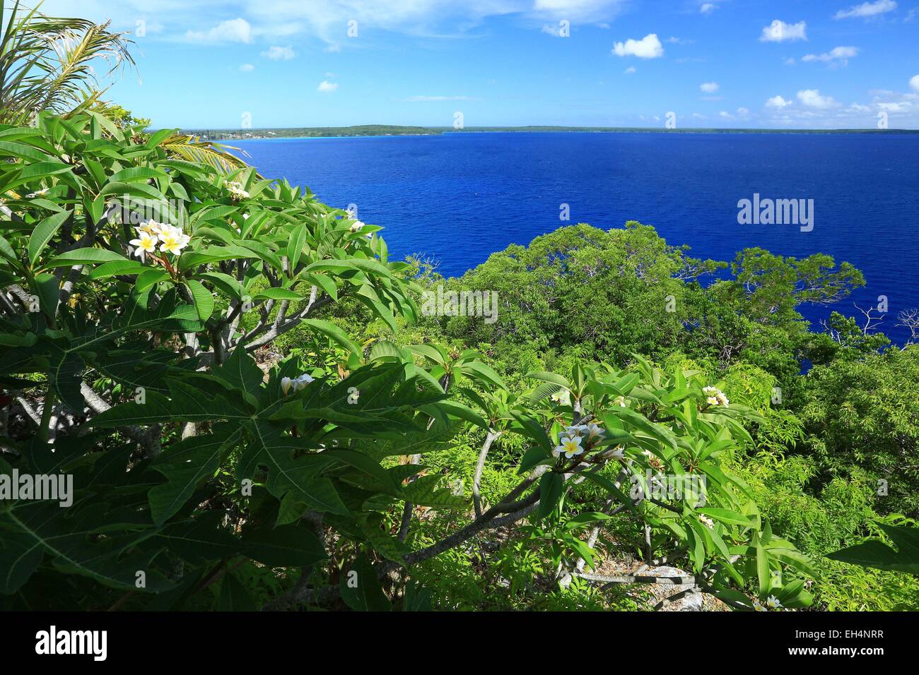 Santal hires stock photography and images Alamy