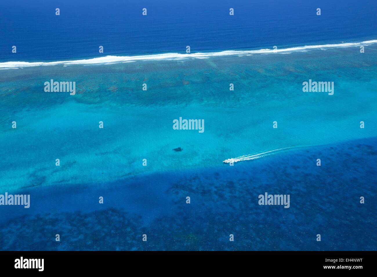 France, New Caledonia, Southern Province, Noumea, Grand Reef Abore ...