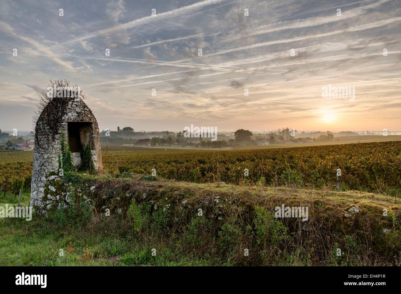 France, Gironde, Anglade, landscape around the village Stock Photo