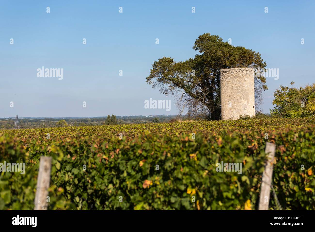 France, Gironde, Anglade, landscape around the village Stock Photo