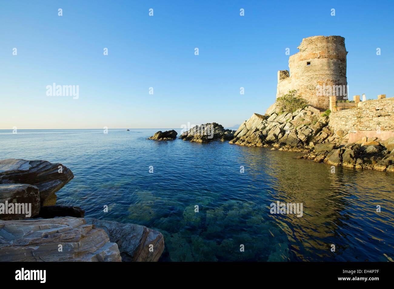 France, Haute Corse, Cap Corse, Brando, Erbalunga marina Stock Photo ...