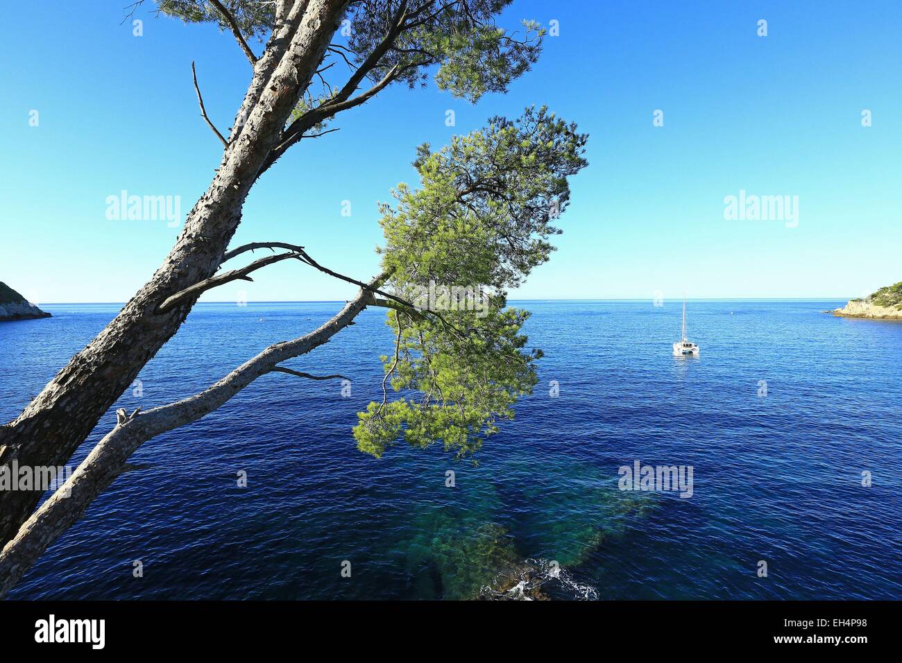 France, Var, Saint Cyr sur Mer, Baie de la Moutte Stock Photo Alamy