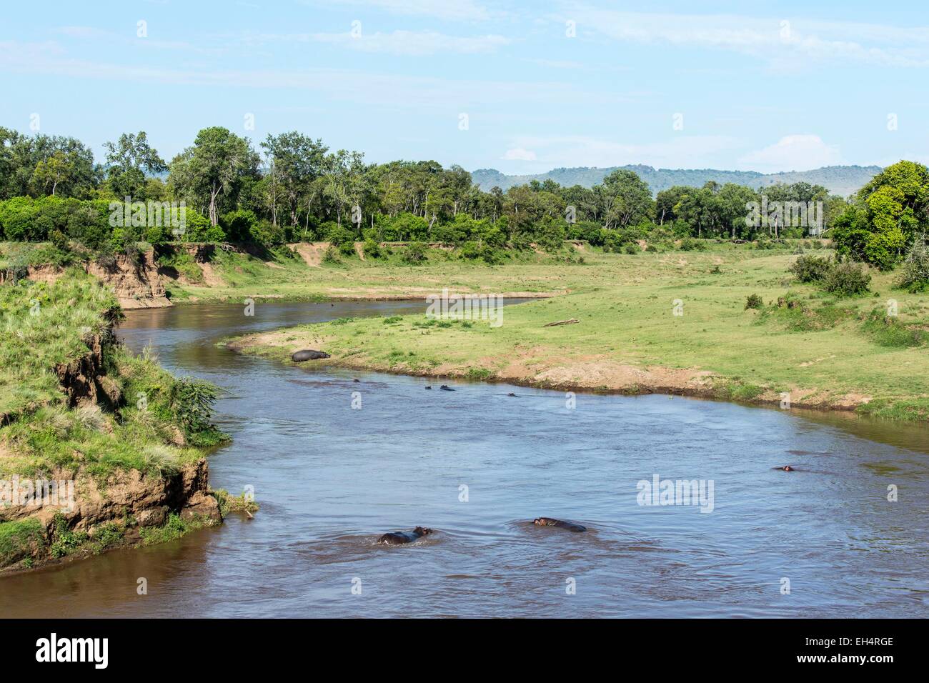 Masai mara landscape with river hi-res stock photography and images - Alamy