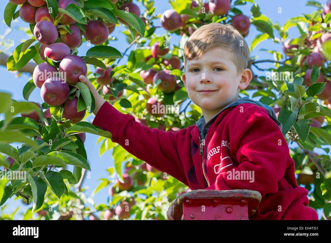 Canada, Quebec province, the Laurentians area, the Lower Laurentians
