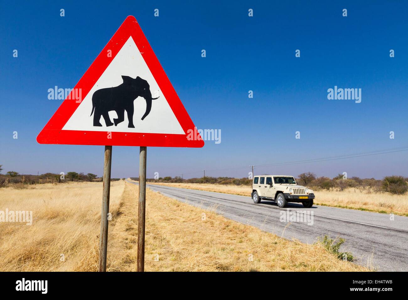 Namibia, Kunene region, roadsign indicating the presence of elephants Stock Photo