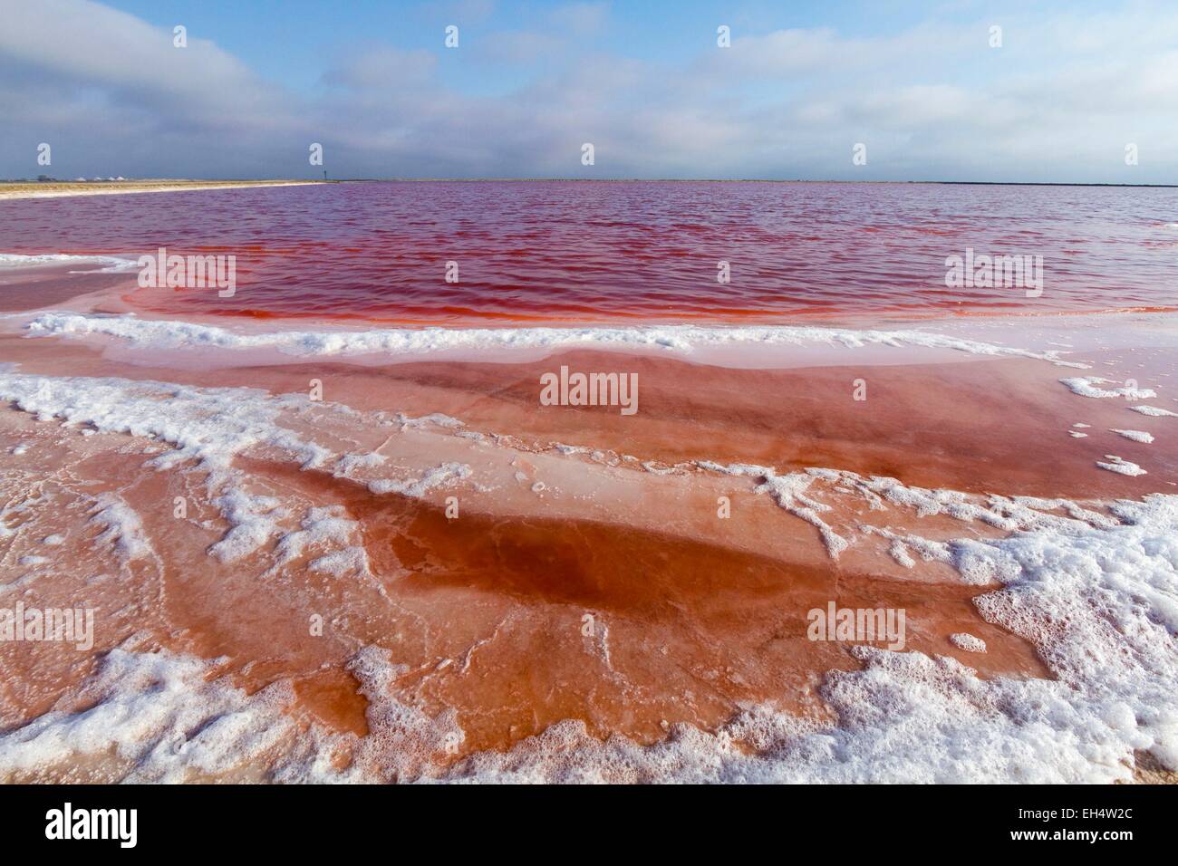 Namibia, Erongo region, Walvis bay, salt marshes Stock Photo