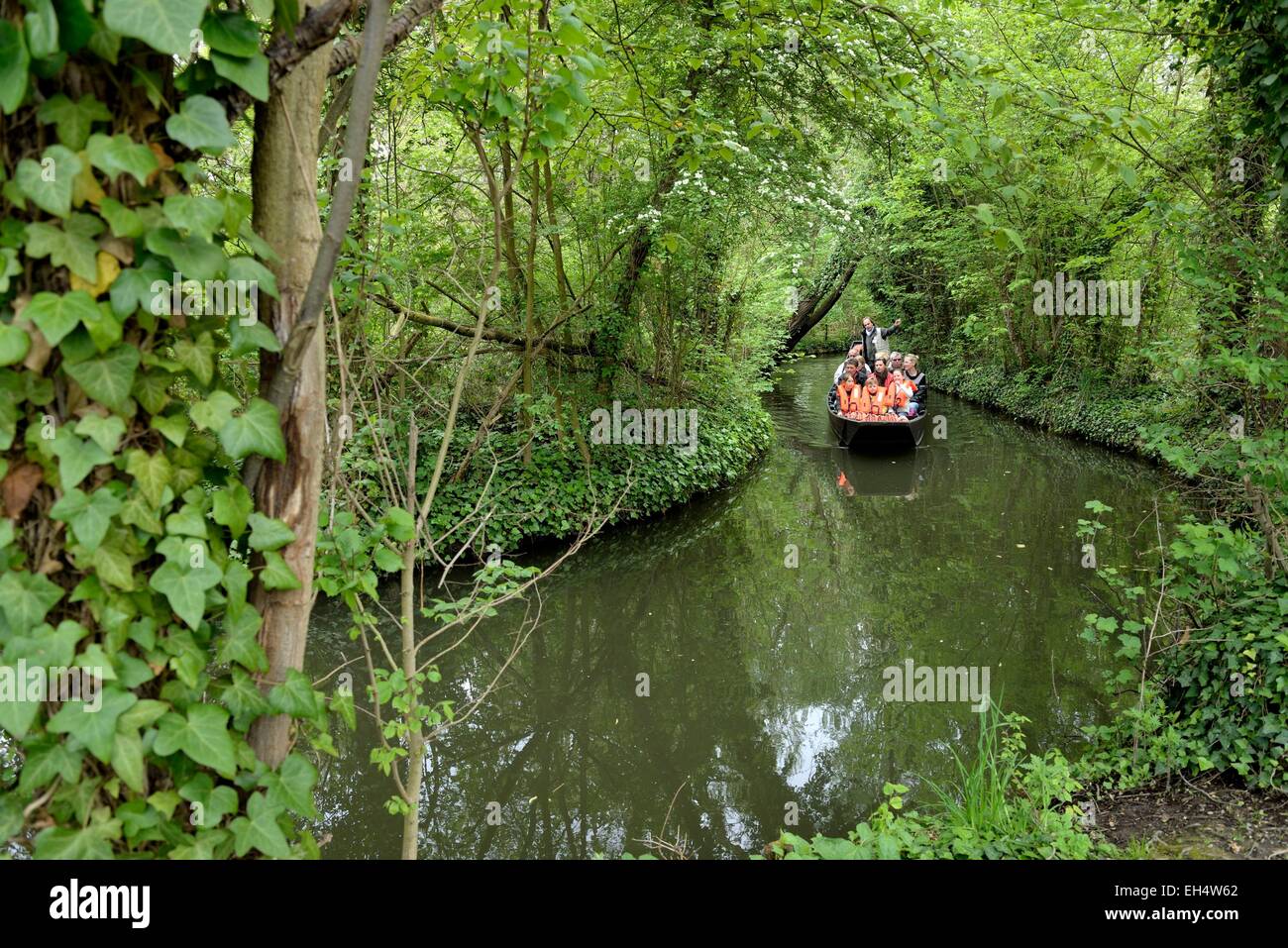 France, Somme, Amiens, the Hortillonnages, floating gardens, horn boat tour Stock Photo