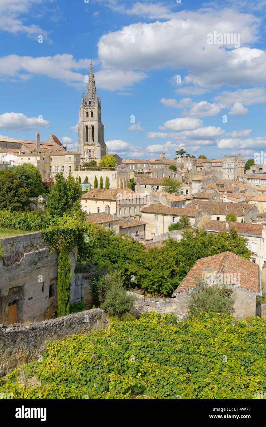 France, Gironde, Saint Emilion and AOC vineyard, listed as World Heritage by UNESCO Stock Photo