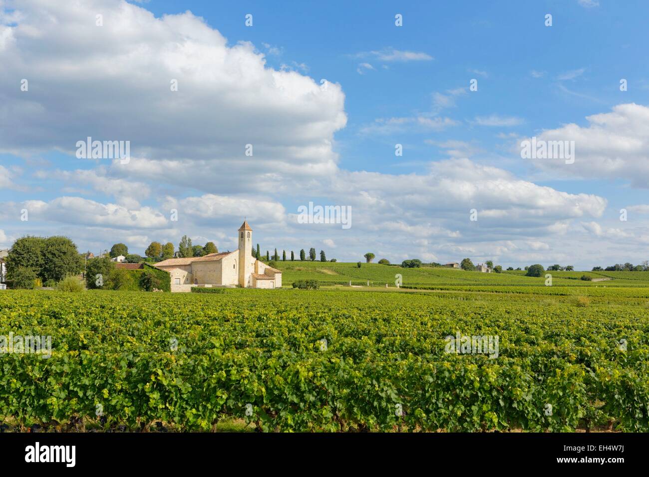 France, Gironde, Saint Emilion, listed as World Heritage by UNESCO, vineyard and Mazerat Stock Photo