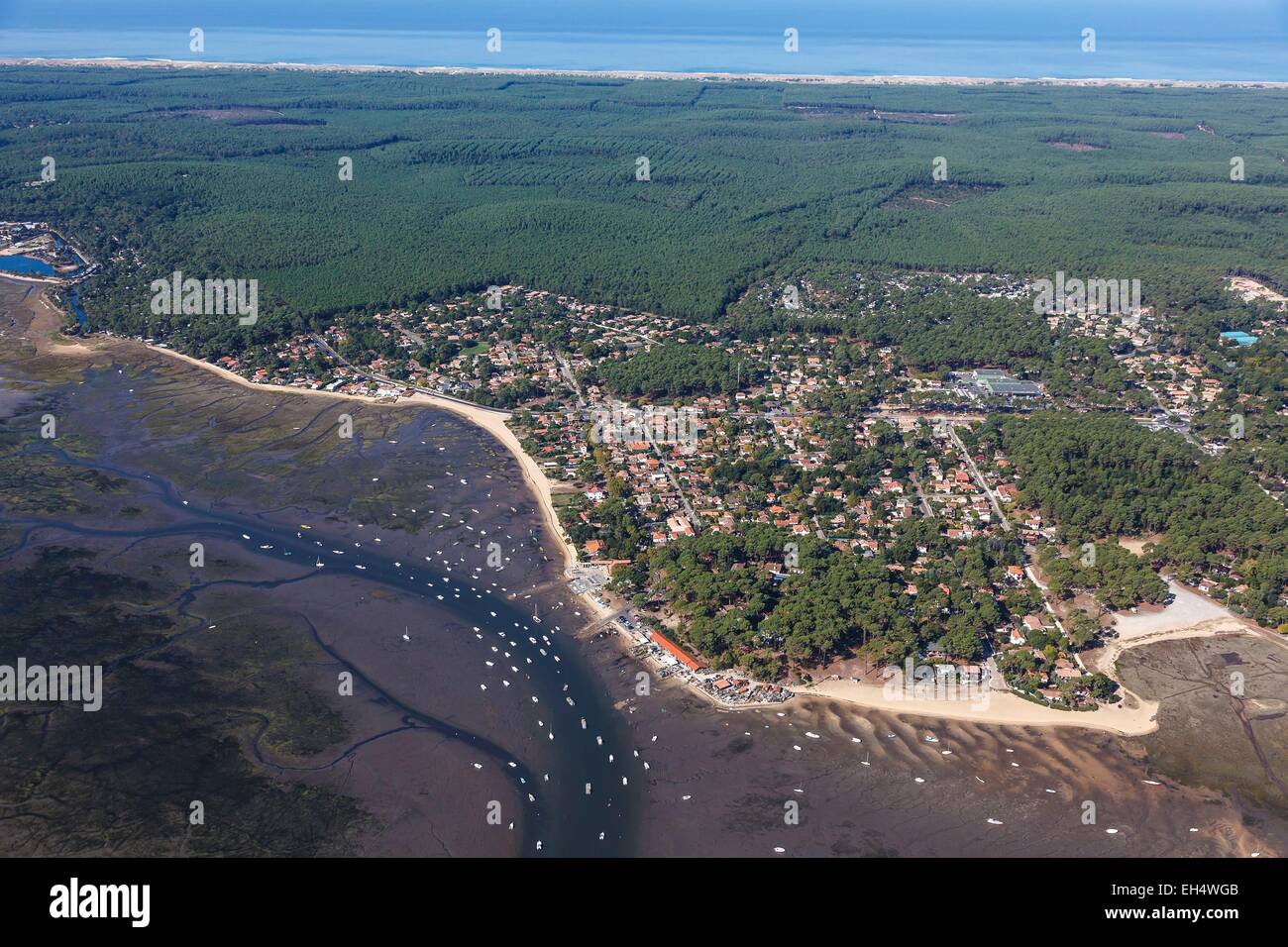 France, Gironde, Lege Cap Ferret, Claouey, the seaside resort on the Bassin d'Arcachon and the pine forest (aerial view) Stock Photo