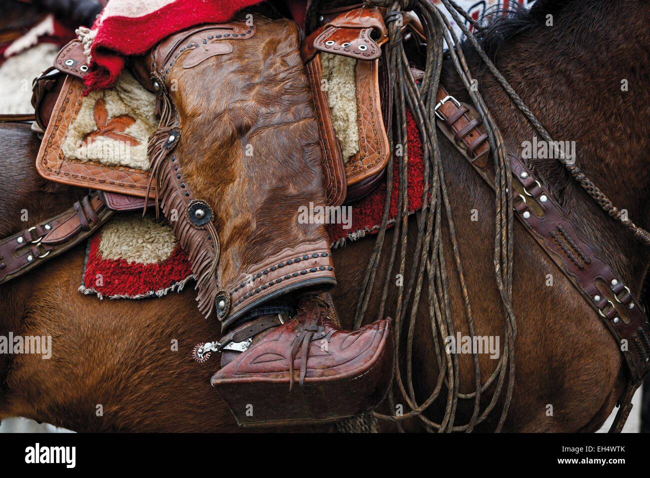 Ecuador, Ambato, Pelileo, detail of a rider at a local festive celebration Stock Photo