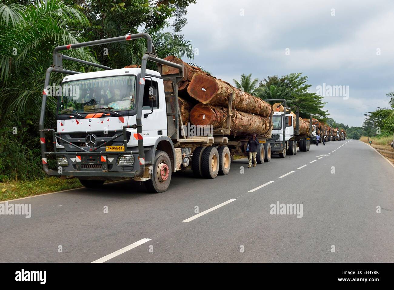 Gabon, Estuaire Province, trucks carrying tree trunks in the Ekouk area on the Route National 1 (state highway) Stock Photo