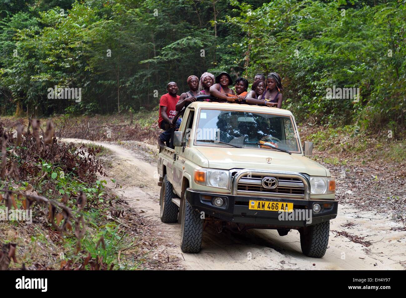 Gabon, Ogooue-Maritime Province, Omboue, Loango region, pick-up on a forest trail Stock Photo