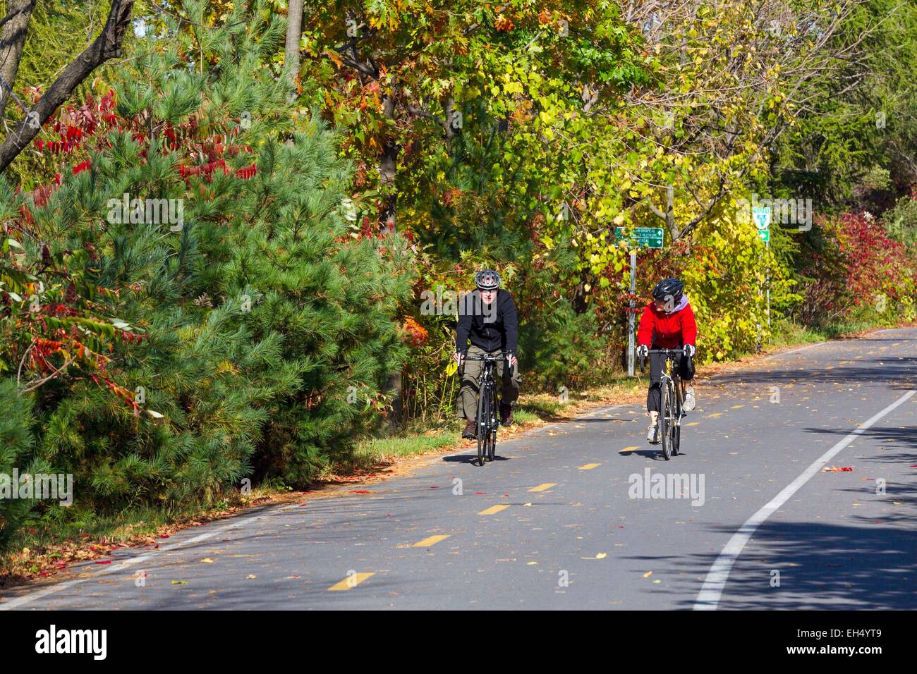 Canada, Quebec, Montreal, Ile Notre-Dame, bike path, cyclists Stock Photo