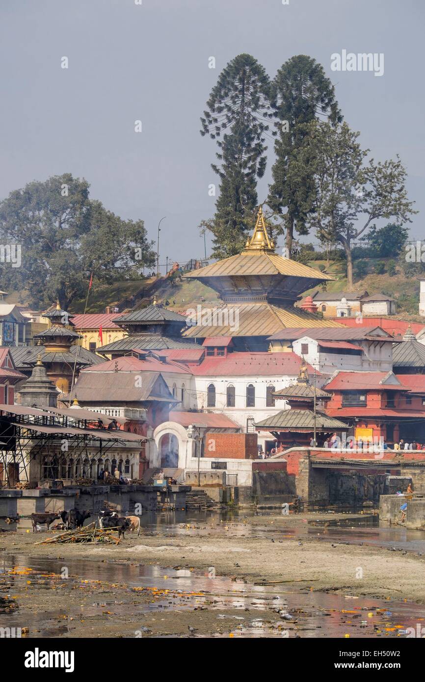 body prepared cremation a is how for Stock Bagmati River Photos & Stock River Bagmati Images body prepared cremation a is how for Stock Bagmati River Photos & Stock River Bagmati Images