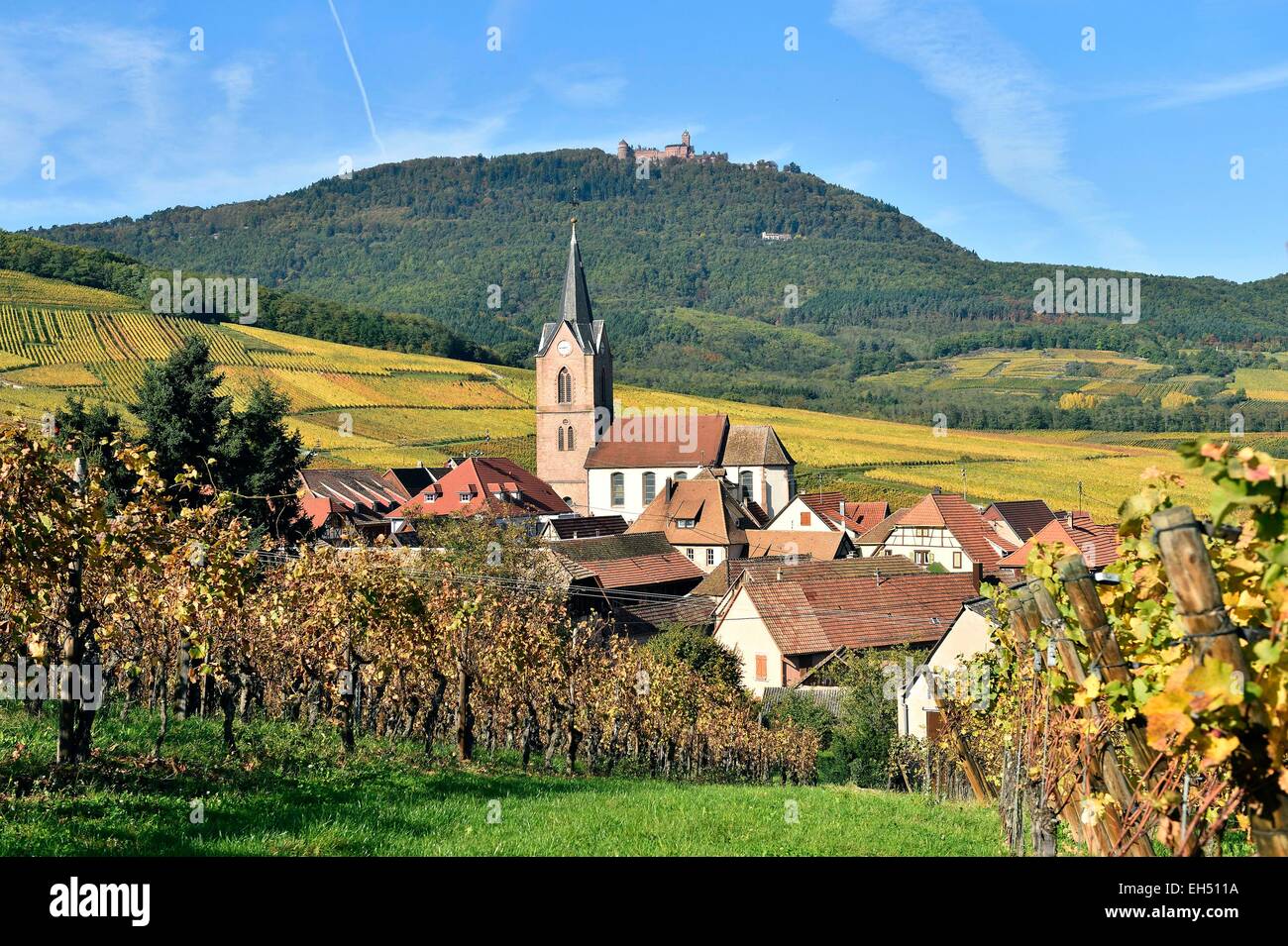 France, Haut Rhin, on the Wine Road of Alsace, Rodern village and Haut Koenigsbourg castle Stock Photo