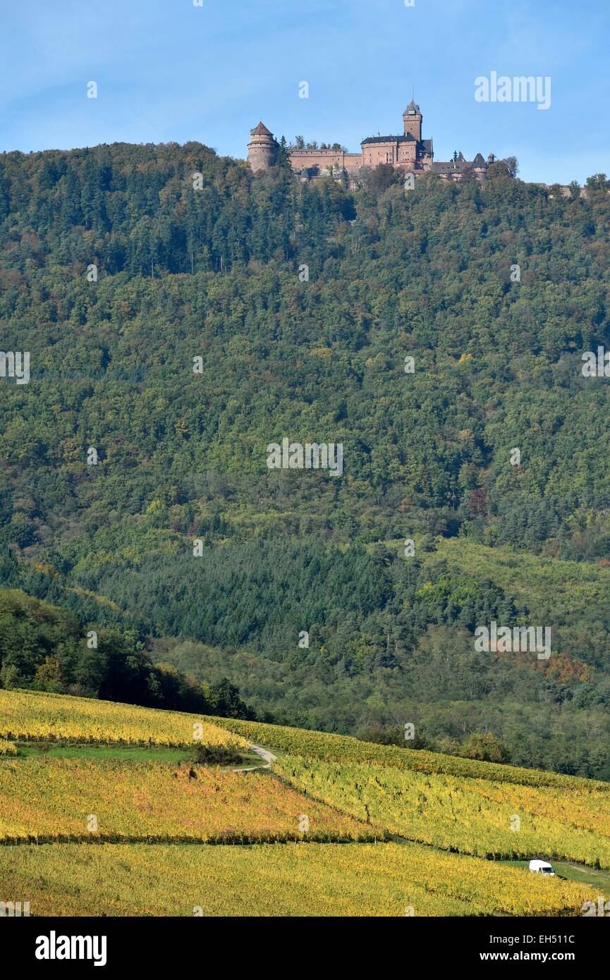 France, Bas Rhin, Alsace Wine Road, Orschwiller, Haut Koenigsbourg ...