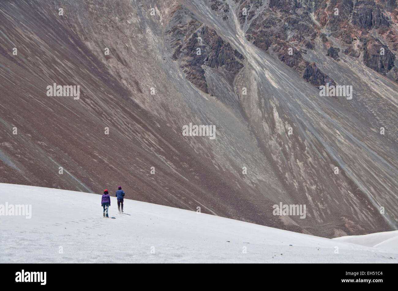 India, Jammu and Kashmir, Ladakh, Nubra, Hunder, High altitude sand dunes between Hunder and Diskit Stock Photo