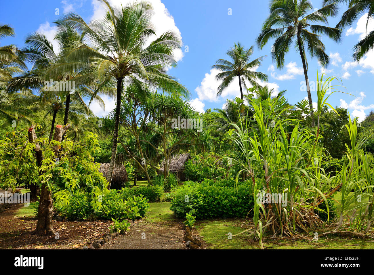 Komokila Historic Village on Wailua River Valley, Kauai, Hawaii, USA