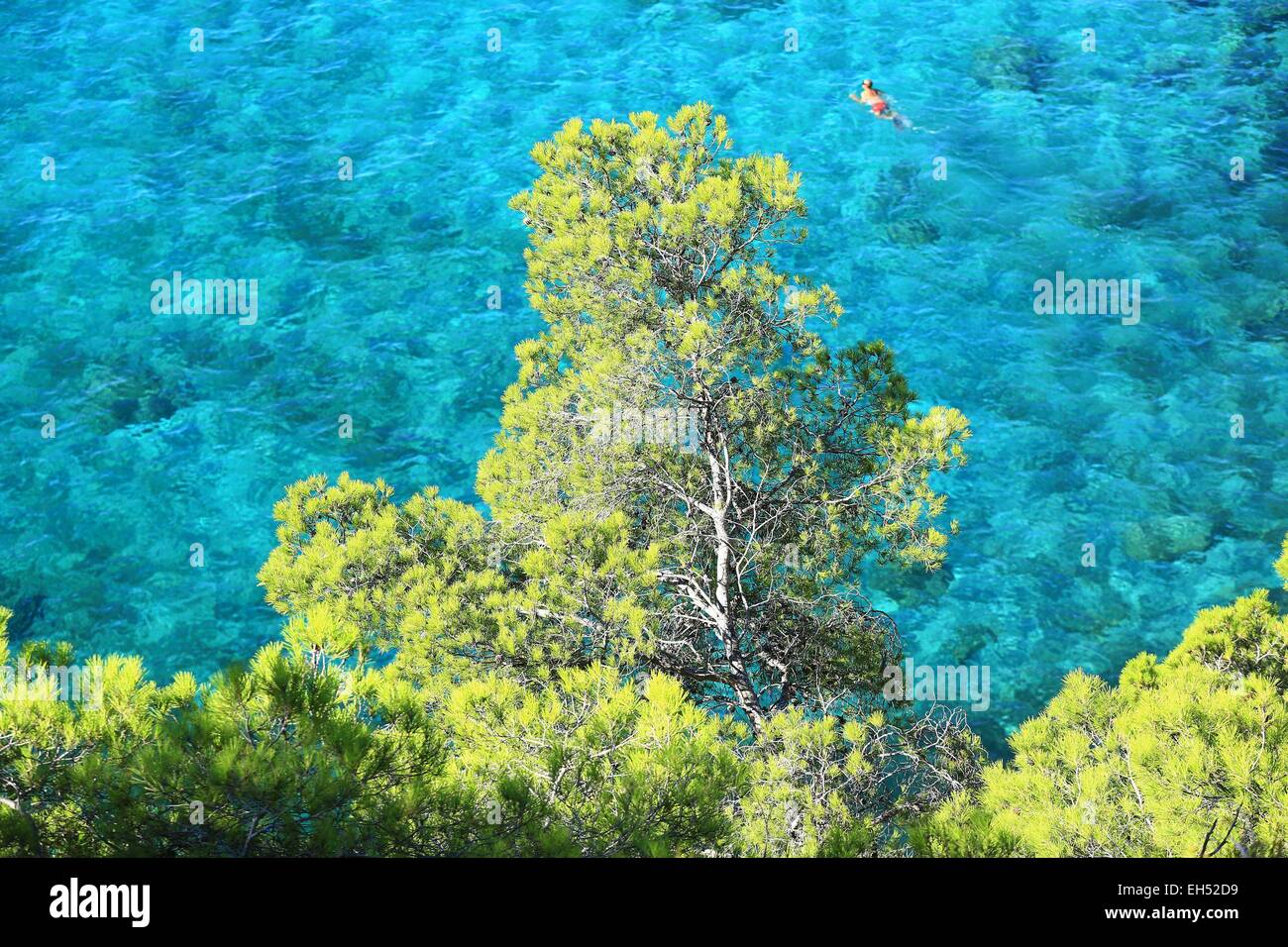 France, Var, Saint Cyr sur Mer, Baie de la Moutte Stock Photo Alamy