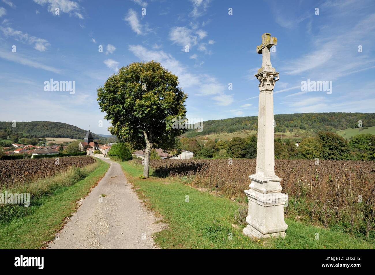 France, Haute Marne, Poissons, cross on way to the hill of Châtel Stock Photo