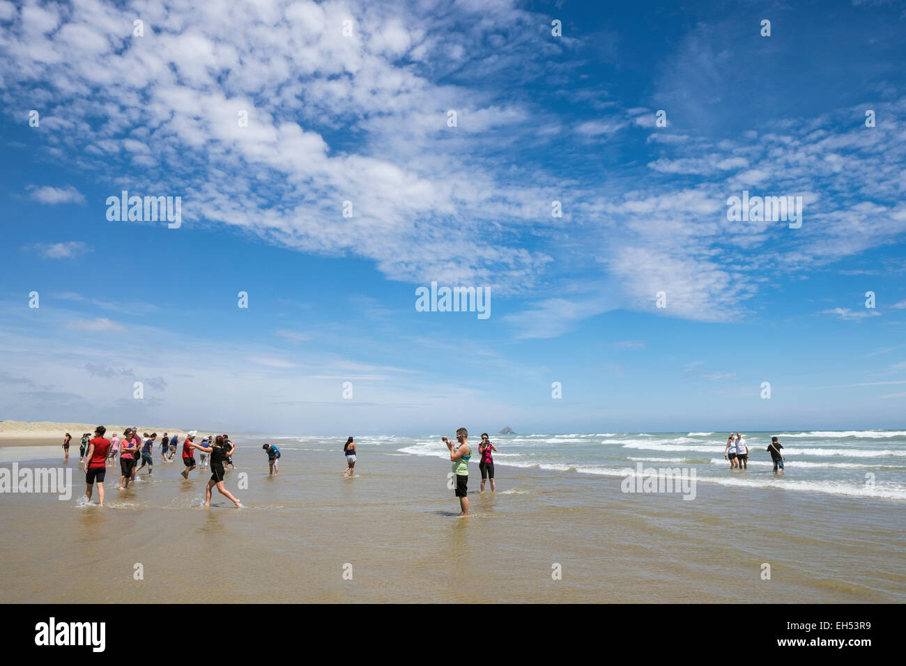 Coach trip on to 90 mile beach and dunes in Northland, New Zealand Stock Photo