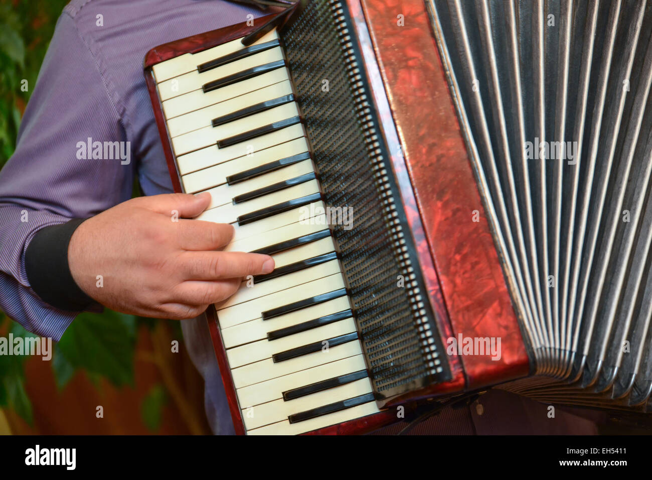 Accordion and fingers of a singer in a wedding special day Stock Photo -  Alamy