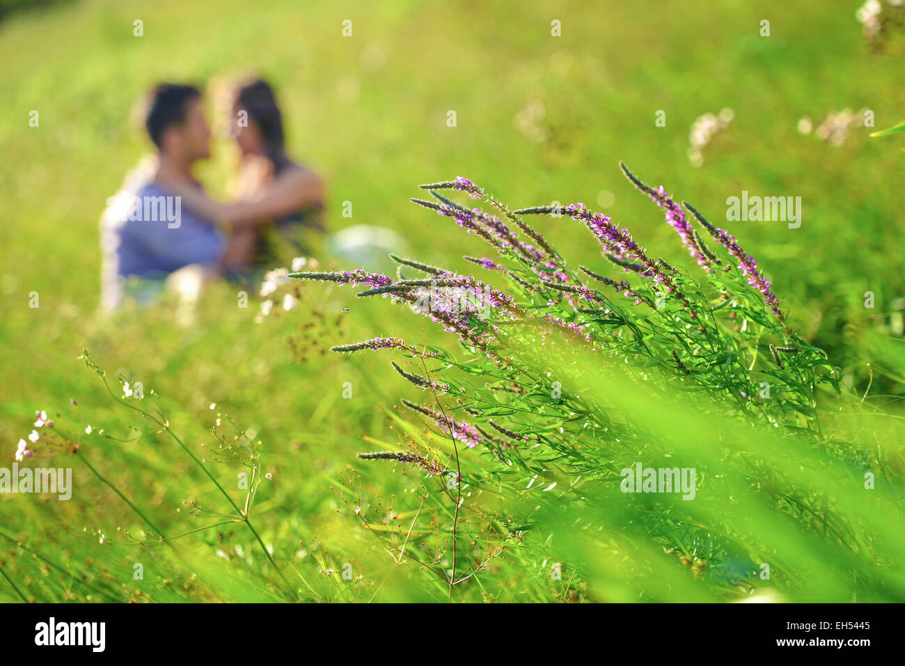 Man and woman kissing blur with focus on flowers Stock Photo