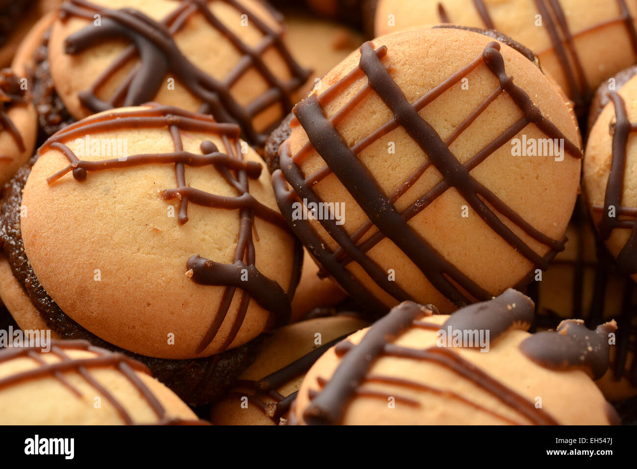 A large batch of homemade chocolate chip cookies Stock Photo Alamy